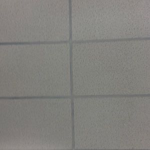 Meet your Posher, Jospeh